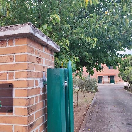 Eco House San Michele Vandrerhjem Borgo San Michele  Eksteriør bilde